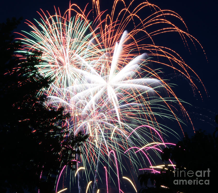 Independence Day Photograph - Flowers of Light by Robert E Alter Reflections of Infinity