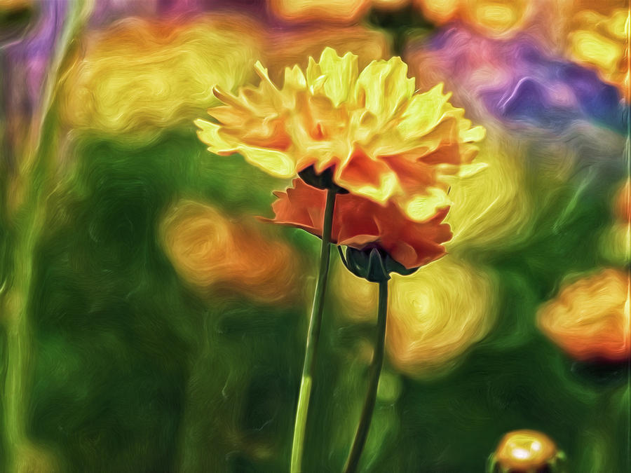 Flowers on a Date Digital Art by Doctor MEHTA Flowers on a Date Digital Art by Doctor MEHTA