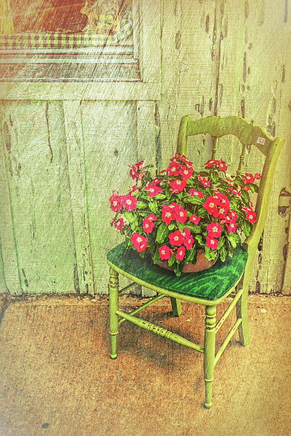 Flower Photograph - Flowers on Green Chair by Lewis Mann