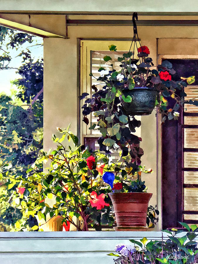 Flowers on Porch Photograph by Susan Savad