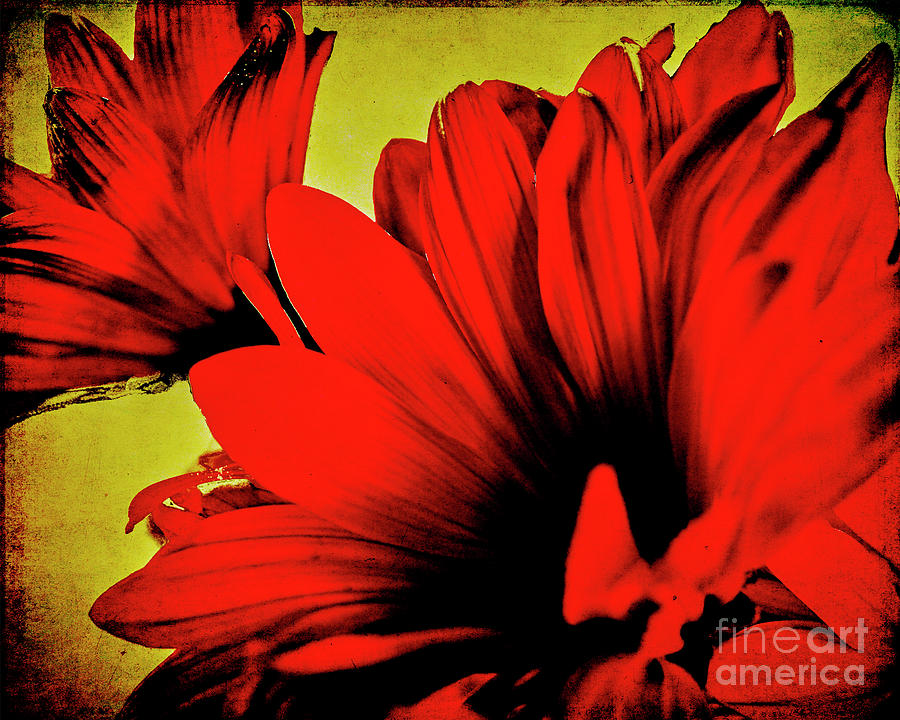 Flowers on Rice Paper Digital Art by Charles Muhle