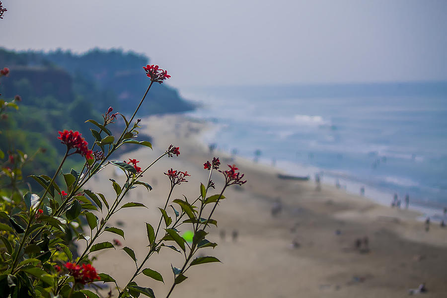 Beach Photograph - Flowers on the beach by Kusumakar Dwivedi