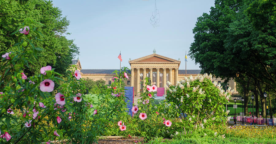 Flowers on the Parkway - Philadelphia Art Museum Photograph by Bill Cannon
