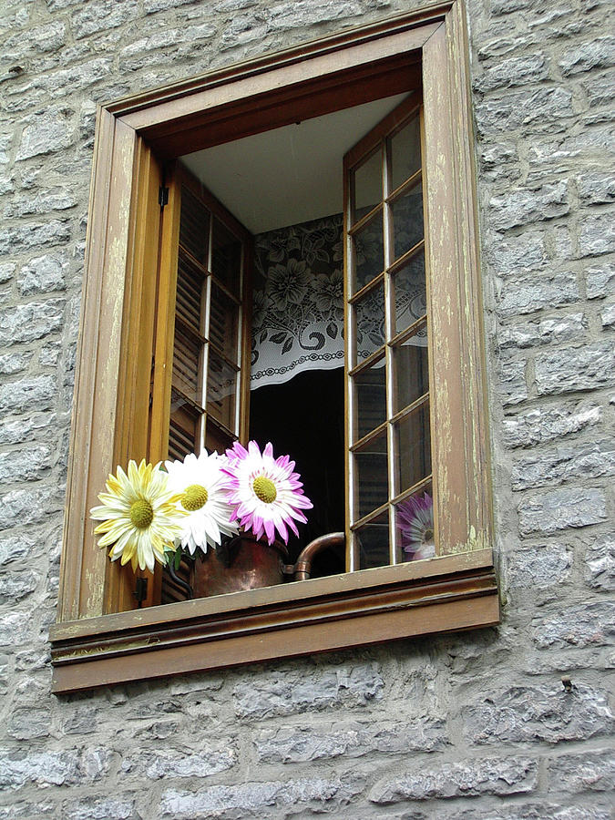 Flowers on the Sill Photograph by John Schneider