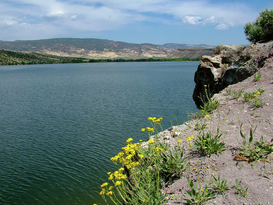 Flowers over Steinaker Reservoir near Vernal, Utah Photograph by Ruth Hager