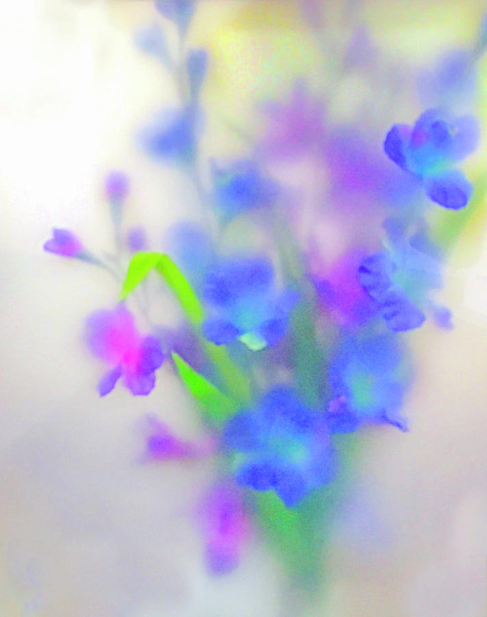 Abstract Photograph - Flowers by Rick Mosher