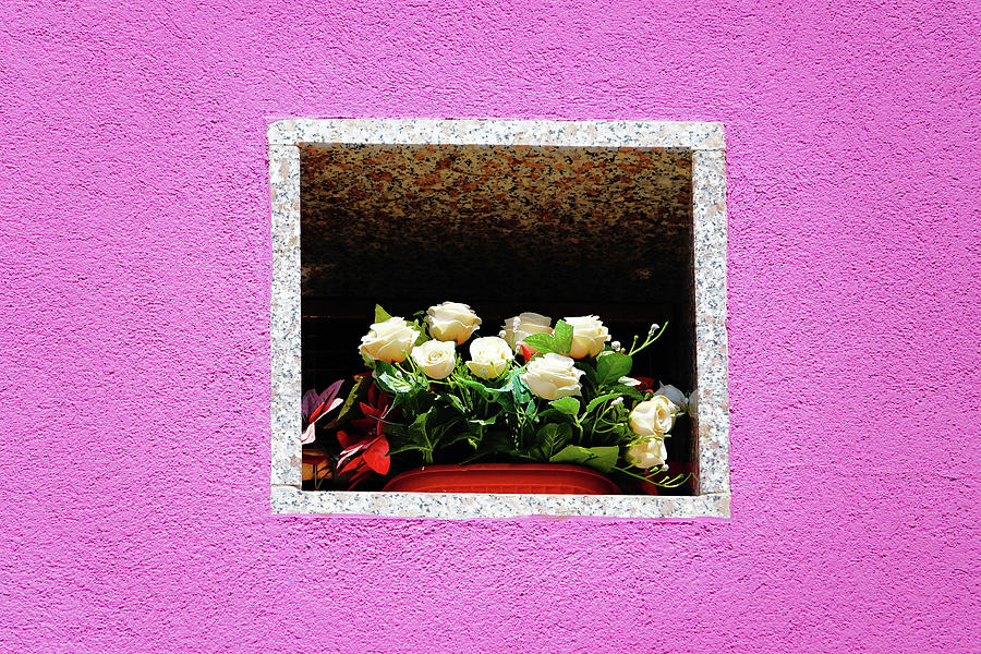 Flowers Set Within House Wall On The Island Of Burano Photograph by Rick Rosenshein