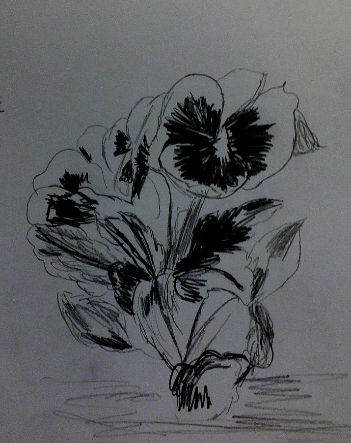 Flowers Sketch 2 Drawing by Kimmary MacLean