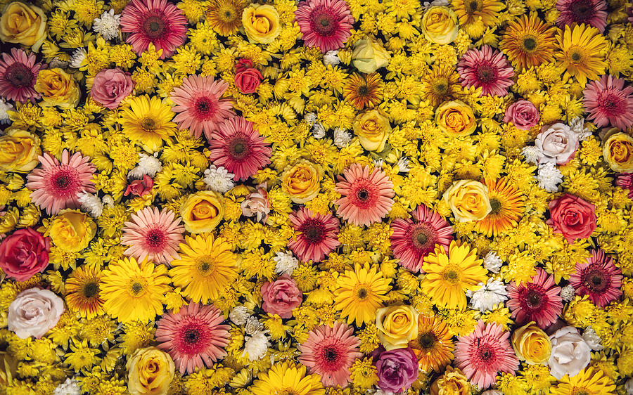 flower texture background