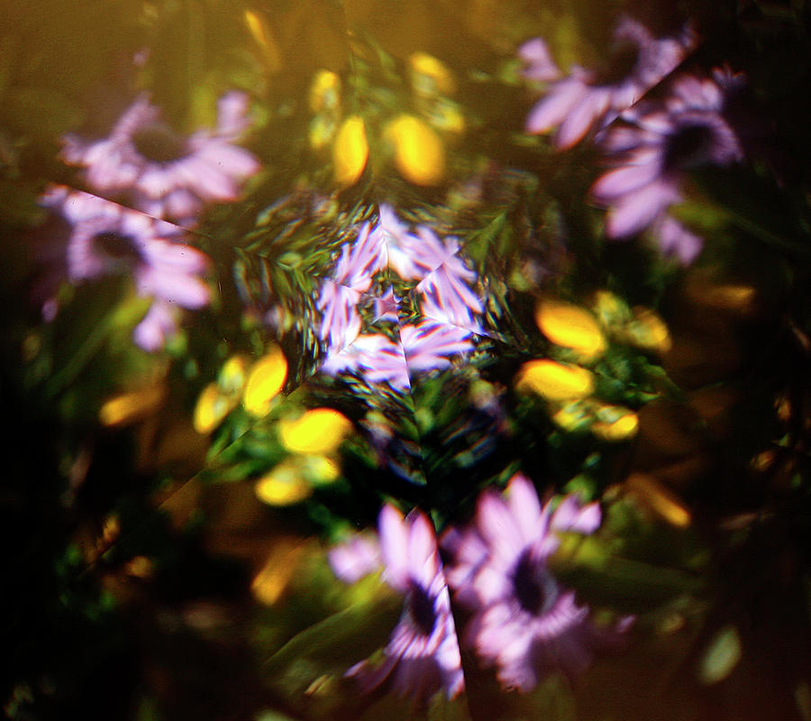 Flowers Thru Kaleidiscope Photograph by Marilyn Hunt