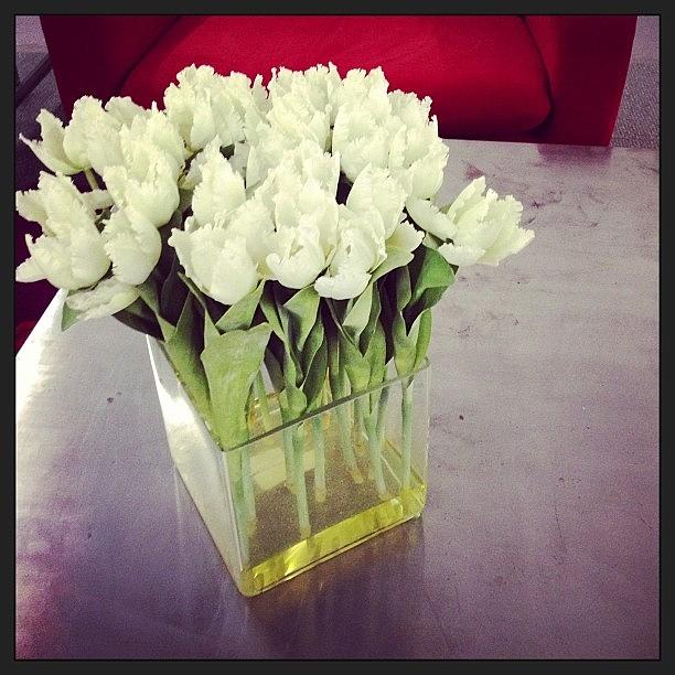 London Photograph - #flowers #white #glass #vase by Shireen Dhaliwal