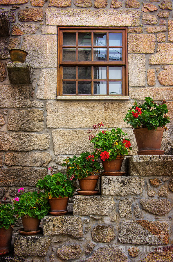 Flowery Decorations Photograph by Carlos Caetano