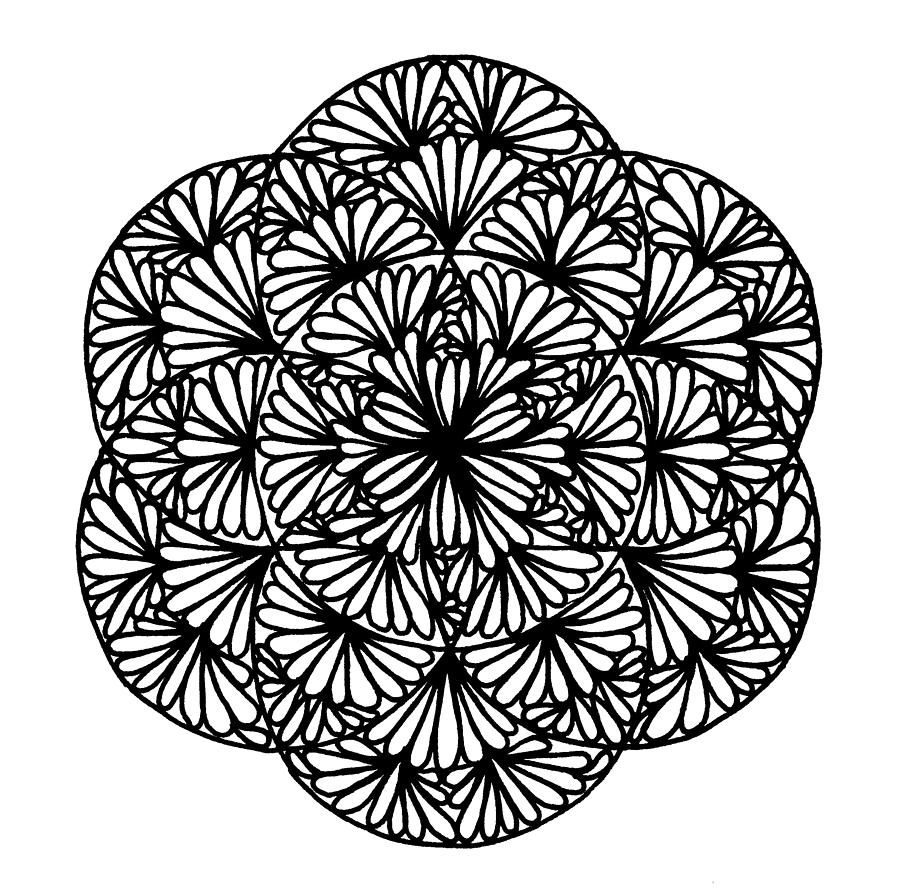 Flowery Seed Of Life Drawing By One Mandala A Day