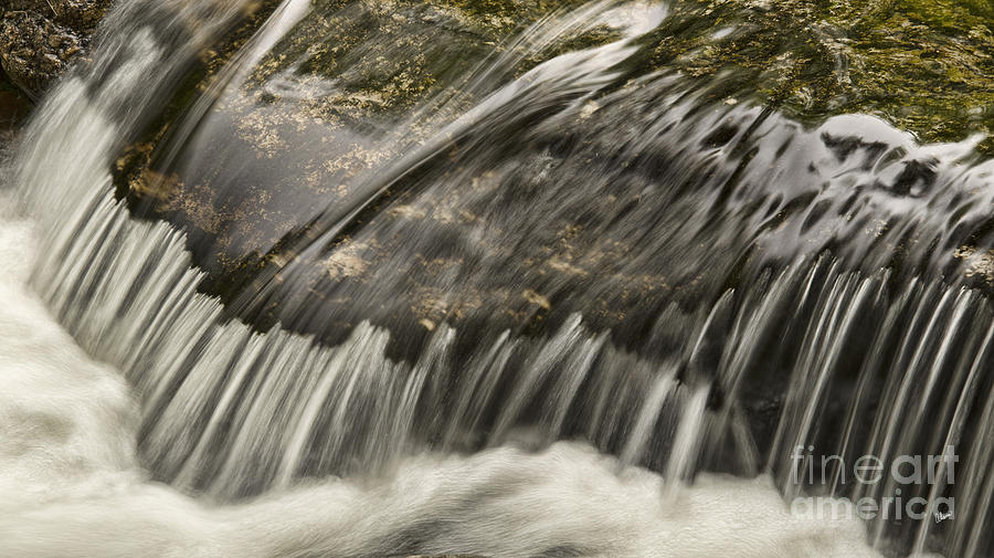 Flowing Photograph by Alana Ranney