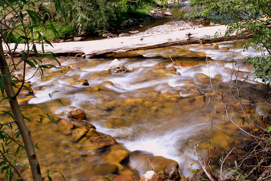 Flowing Brook 1 Photograph