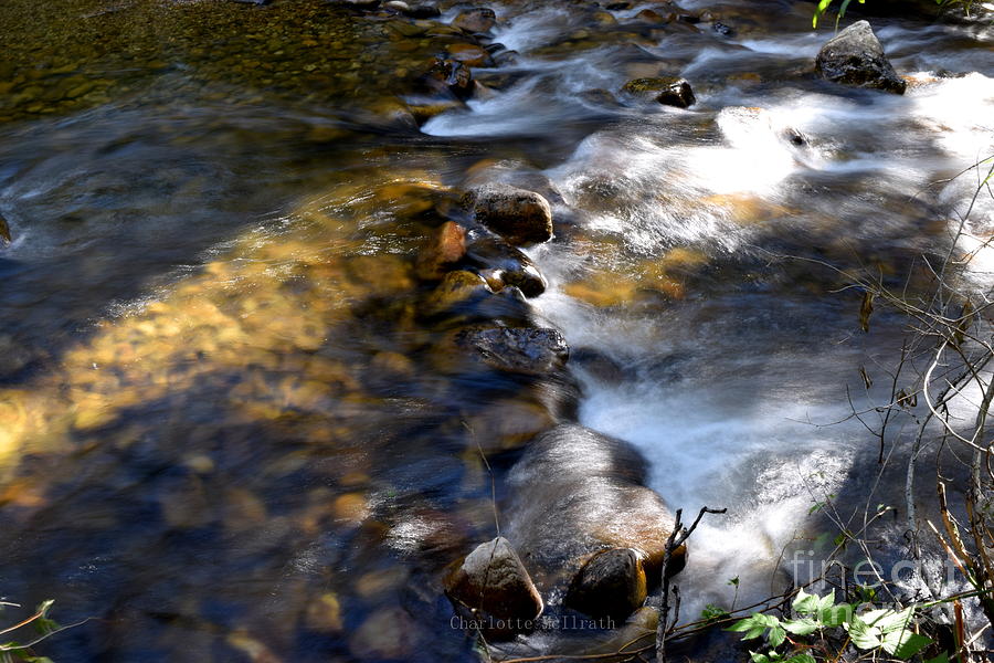 Flowing Brook Photograph