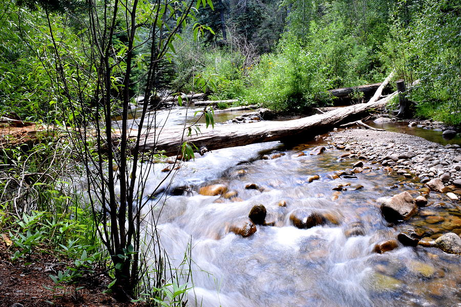 Flowing Brook II Photograph