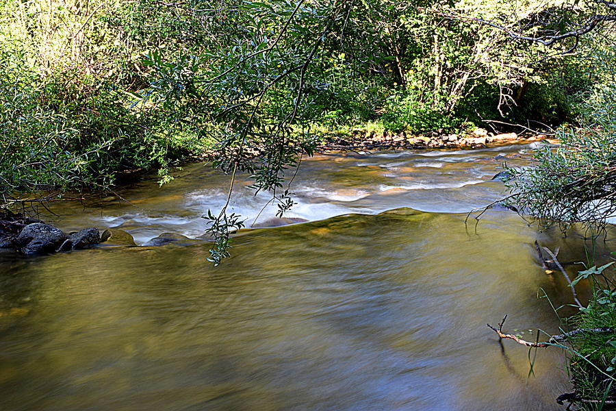 Flowing Brook IIi Photograph