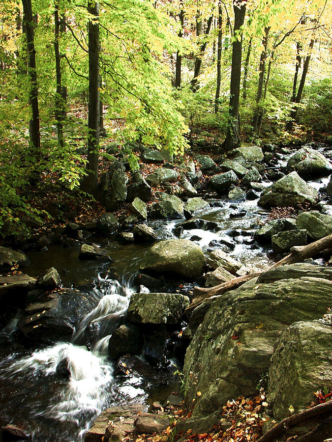 Flowing brook Photograph by Steven Riker - Pixels