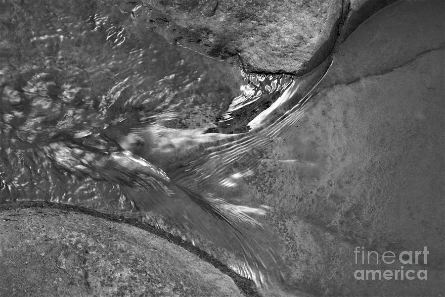 Flowing Photograph by Cassandra Buckley