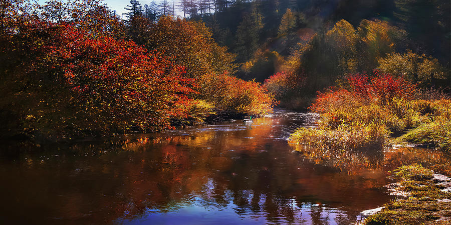 Flowing Colors Photograph by John Christopher