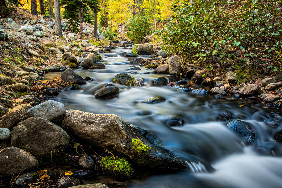 Flowing Creek Photograph By Maria Coulson Fine Art America