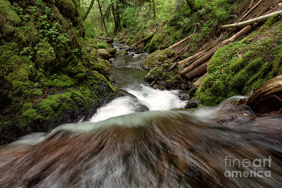 Flowing Downstream Waterfall Art by Kaylyn Franks Photograph by Kaylyn Franks