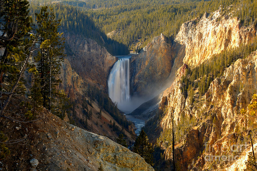 Yellowstone National Park Photograph - Flowing Into The Golden Canyon by Adam Jewell