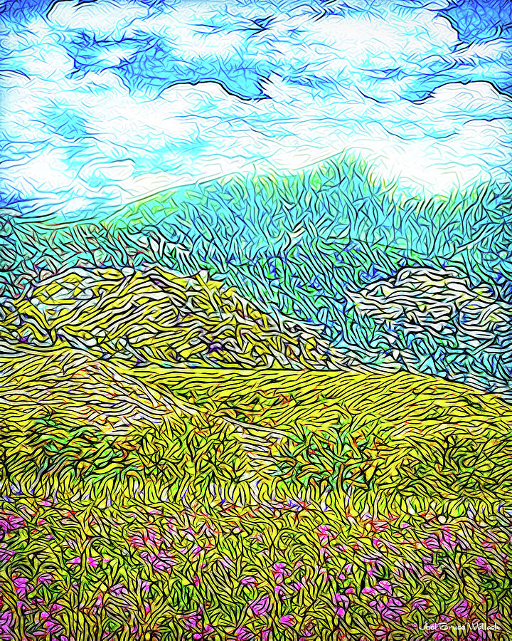 Mountain Digital Art - Flowing Mountains - Meadow In Boulder County Colorado by Joel Bruce Wallach