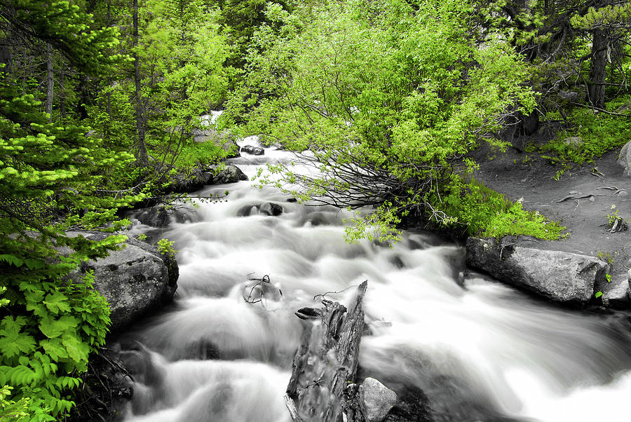 Nature Photograph - Flowing River Nature Art - Two Tone Artwork by Gregory Ballos
