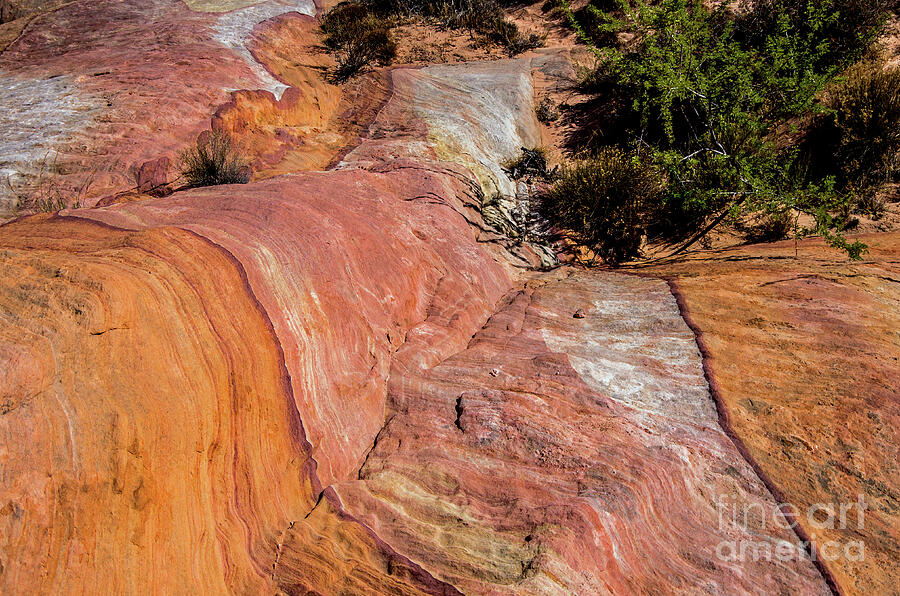 Flowing Rock Photograph by Stephen Whalen