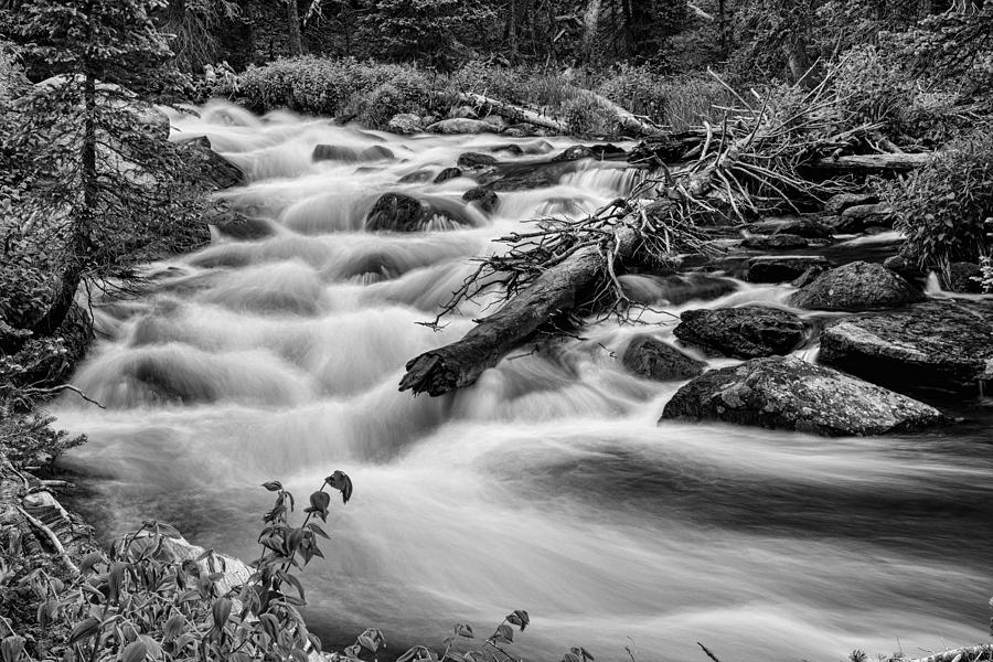 Flowing Rocky Mountain Stream In Black And White Photograph