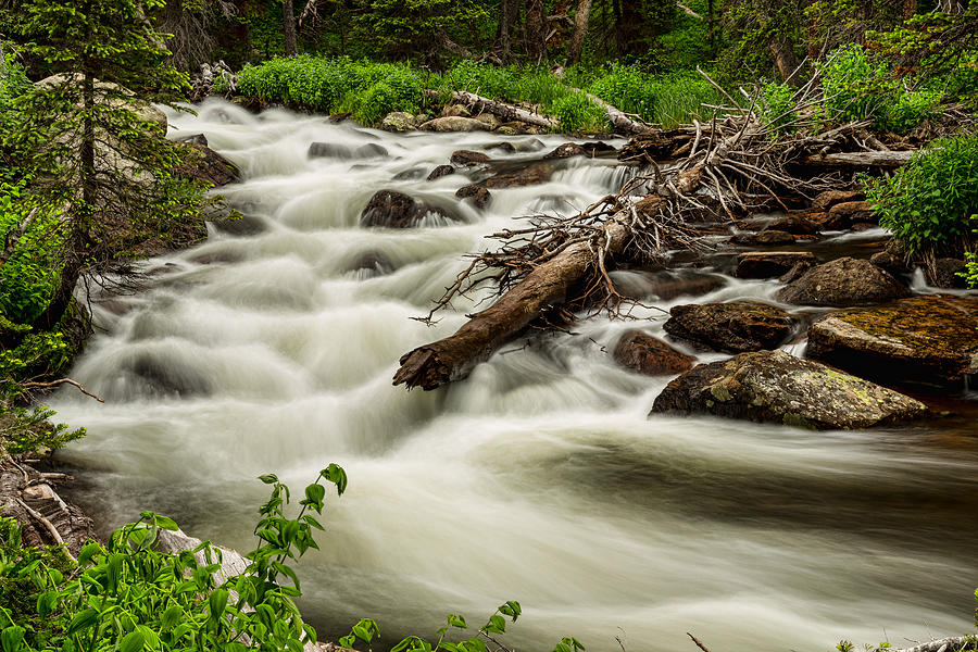 Flowing Rocky Mountain Stream Photograph