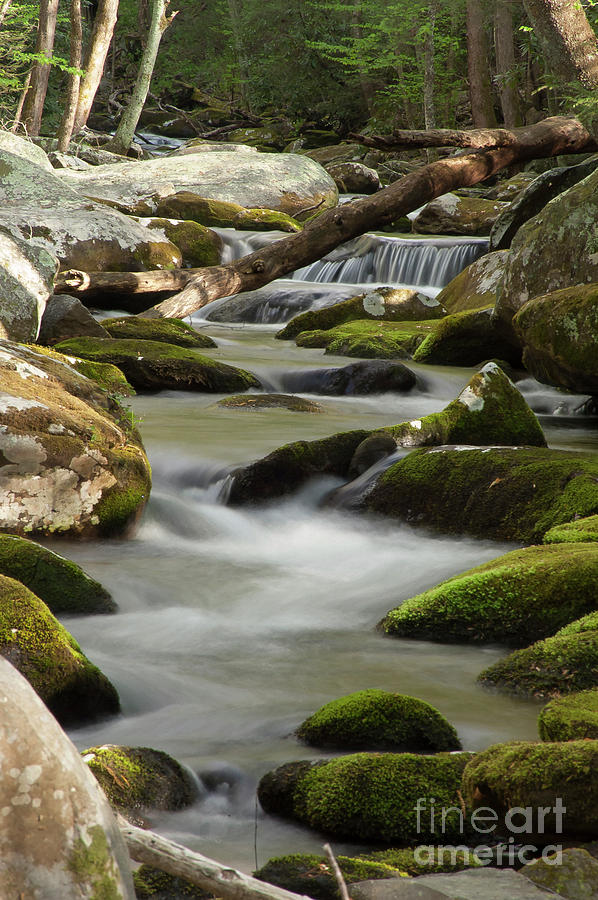 Flowing Stream Photograph by Bob Phillips