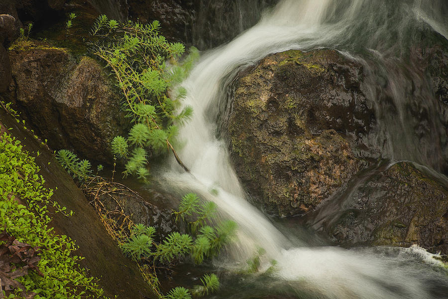 Flowing Stream Photograph by David Coblitz