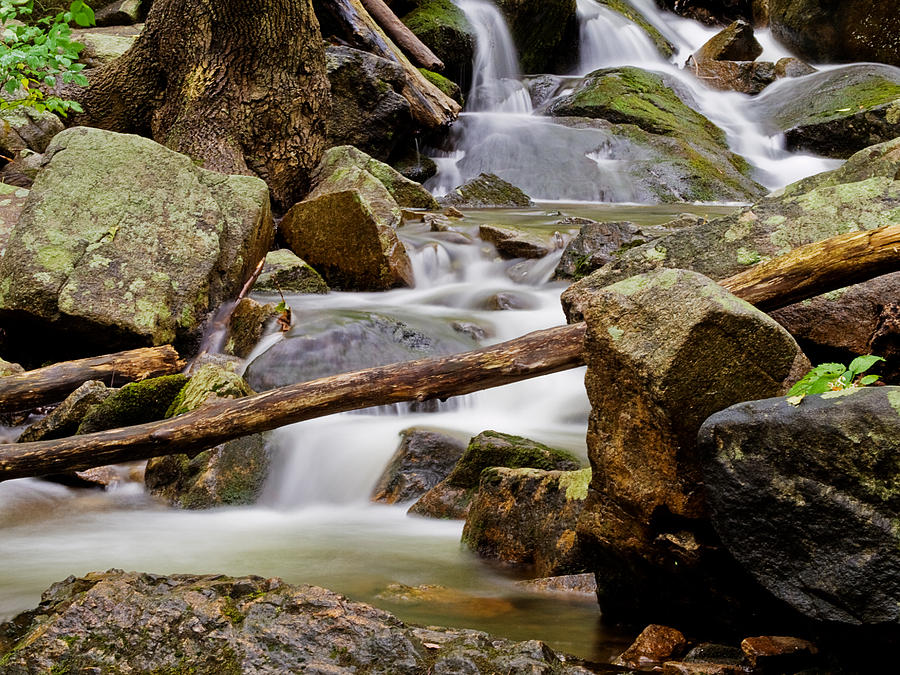 Flowing Stream Photograph by Jim DeLillo