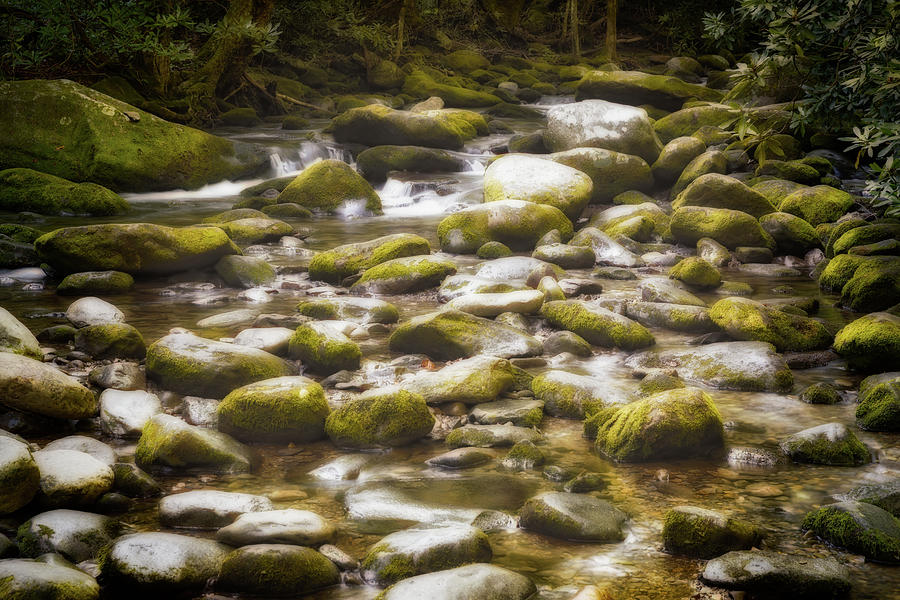 Flowing Stream Photograph by Todd Ryburn