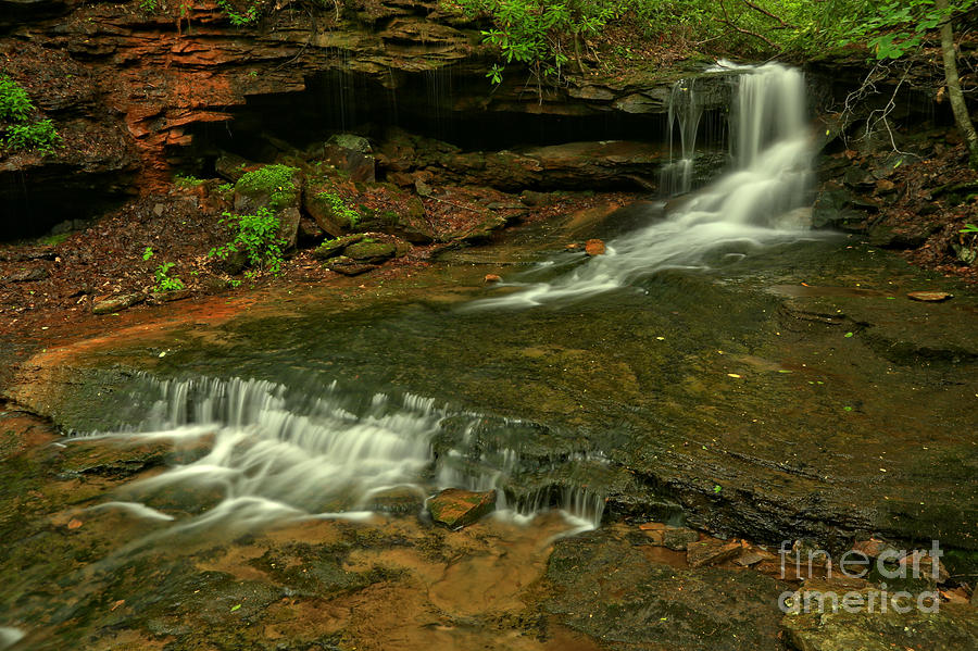 Flowing Through The Forbes State Forest Photograph by Adam Jewell