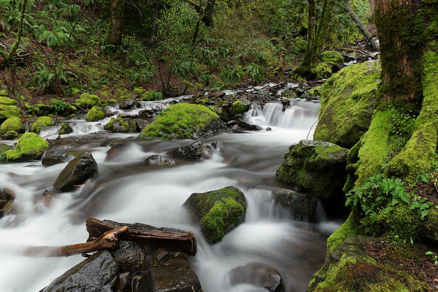 Flowing through the moss and rocks Photograph by Jeff Swan