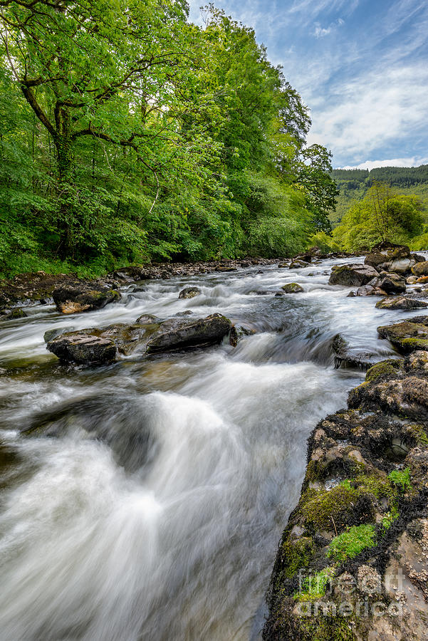 Summer Photograph - Flowing Water by Adrian Evans