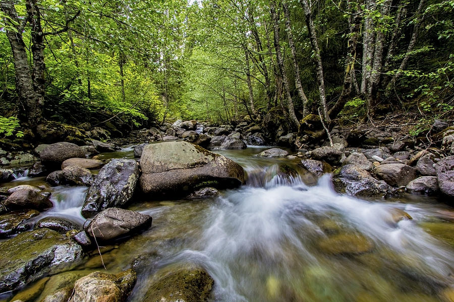 Flowing Waters Photograph by Larry Waldon