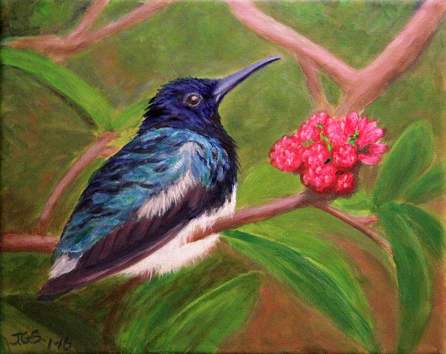 Fluffed Hummer Painting by Janet Greer Sammons