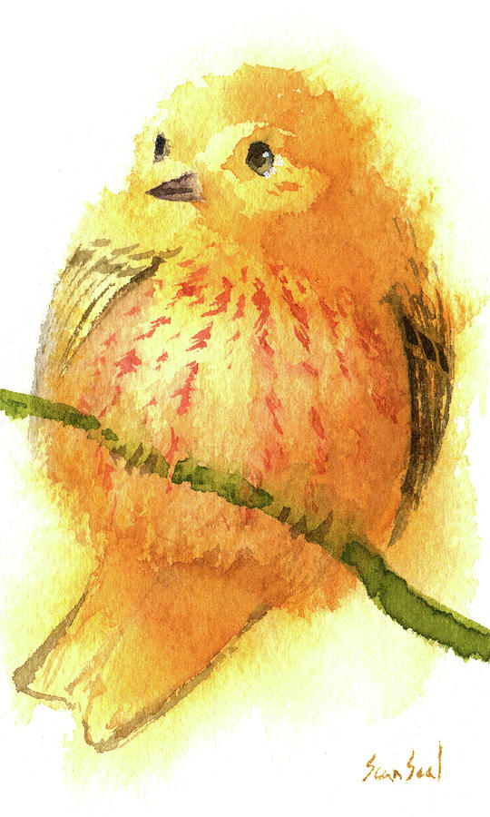 Fluffy American Yellow Warbler Painting by Sean Seal