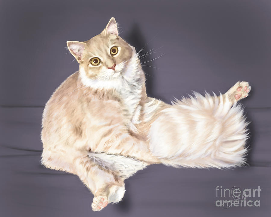 Fluffy Cat Digital Art by Jenny Hill Wiles - Fine Art America