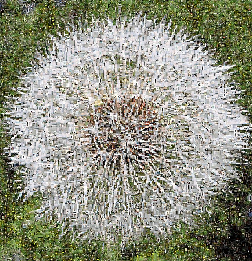 Fluffy Dandelion Mosaic Digital Art by Nina-Rosa Dudy