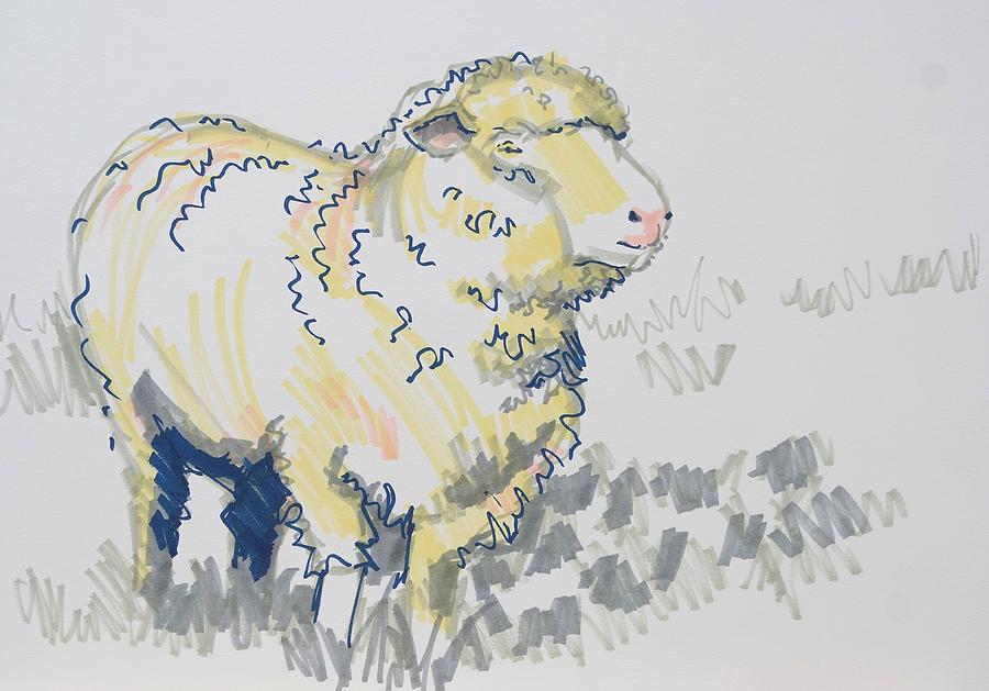 A sketch of a sheep, full white body, left to right angle, pencil drawing,  children's colouring book on Craiyon