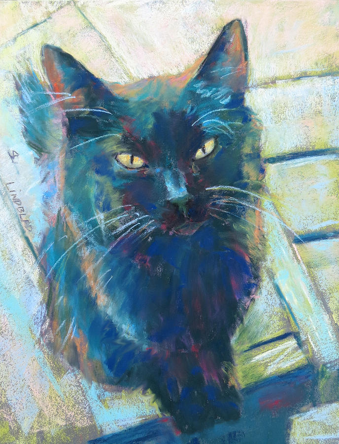 Fluffy the black cat Painting by Sandy Lindblad - Fine Art America