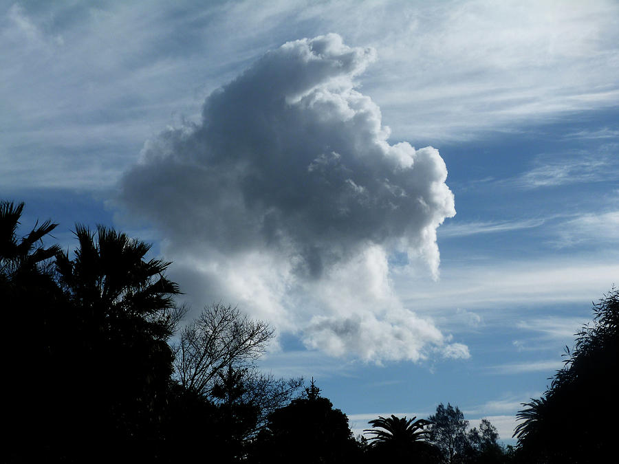 Fluffy Winter Cloud Photograph by Margaret Saheed