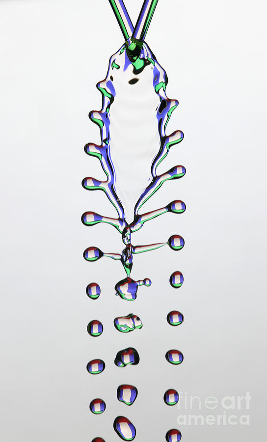 Fluid Fishbone Effect Photograph by Ted Kinsman