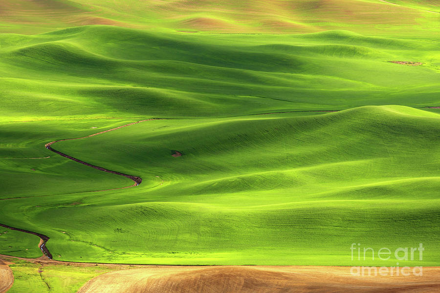 The Palouse Photograph - Fluidity by Beve Brown-Clark Photography